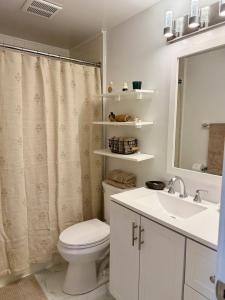 a bathroom with a toilet and a sink and a mirror at Gilded Age Luxury Surrounded by Nature in Norwalk +15 photos