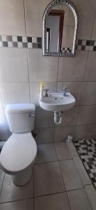a bathroom with a toilet and a sink at Kuils River Apartment, near Cape Town Airport in Sarepta +12 photos