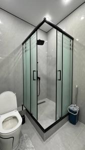 a bathroom with a glass shower and a toilet at Улы дала in Shymkent