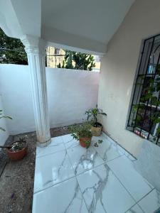 a porch with two potted plants and a white wall at Fantástico in Juan López