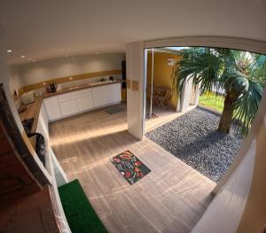 an overhead view of a living room with a palm tree at Chez Marie Line in Saint-Joseph