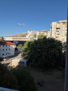 a tree in the middle of a city with buildings at Emama Residence Mostar in Mostar