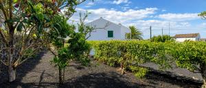 a field of trees with a white building in the background at Inn Fraga in Ribeirinha +20 photos