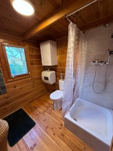 a bathroom with a tub and a toilet and a shower at Leonówka in Nowogród