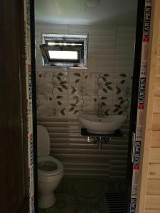 a bathroom with a sink and a toilet at კოტეჯი in Ts'ikhisdziri