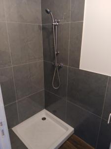 a shower with a shower head in a bathroom at Joli t1 bis Drôme des collines in Saint-Vallier
