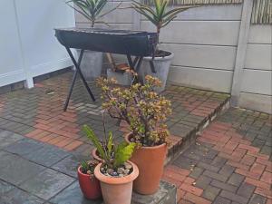 a piano and potted plants in front of a patio at Nouvelle Vie Self-catering Accommodation in Reebok +5 photos