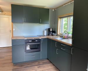 a kitchen with green cabinets and a stove and a sink at Villa Ragunda in Hammarstrand