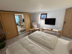 a bedroom with a bed and a flat screen tv at Zwei schöne Ferienwohnungen in der Nähe von Winterberg in Rengershausen