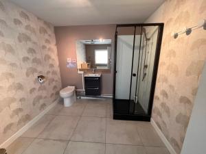 a bathroom with a shower and a toilet and a sink at Charme et confort - Maison Roubaix 5 chambres in Roubaix +19 photos