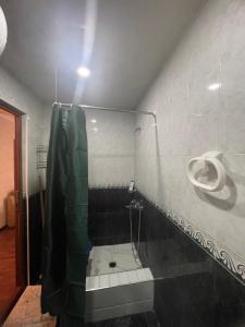 a bathroom with a toilet and a urinal on the wall at Poti apartment in Poti