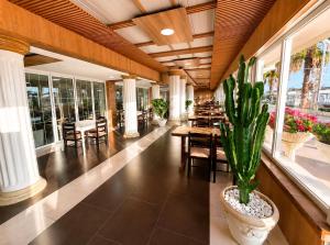 a lobby with a table and a potted plant at Shala Resort & SPA in Durrës