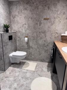 a bathroom with a toilet and a sink at Kukerpuu Kinnisvara in Raadi