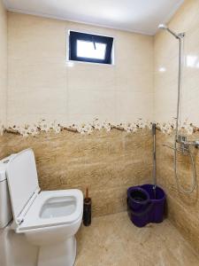 a bathroom with a toilet and a shower at Cottage Shina in Kazbegi