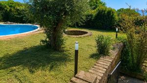a tree in a yard next to a swimming pool at The Lake Escape - Trevignano in Trevignano Romano