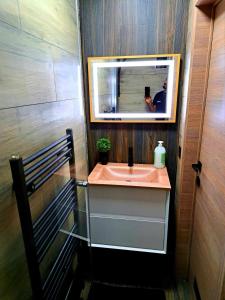 a person taking a picture of a bathroom sink at Chambre privée dans une maison d'hote in Liège