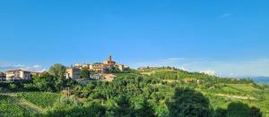 a house on top of a hill at Casa Doris in Montabone