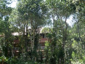 a house in the middle of some trees at BASIS Mountain House in Thekkady