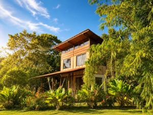 a house in the middle of a garden at Jardim Mirim in Cananéia