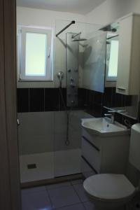 a bathroom with a shower and a toilet and a sink at Agava in Lovište +32 photos