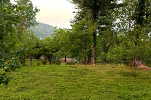 a field with trees and a house in the background at Canopy Court Farmhouse Murree in Bhurban +5 photos