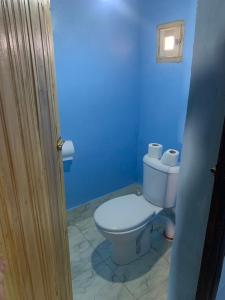 a bathroom with a white toilet in a blue room at Desert Tours & Camp Chraika in Mhamid +23 photos
