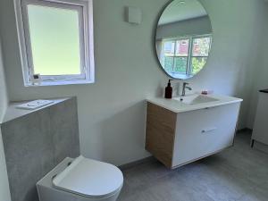 a bathroom with a toilet and a sink and a mirror at Tønder Byhus in Tønder