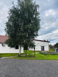 a tree in front of a white building at Pokoje gościnne Agroturystyka in Gierałtów