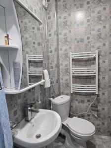 a bathroom with a toilet and a sink and a mirror at T'teni in Urtsʼadzor