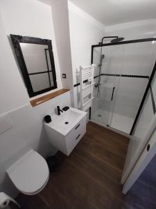 a bathroom with a toilet and a shower and a sink at Le sabot de Madame in Lussac-les-Châteaux +7 photos