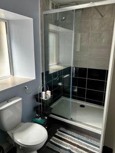 a bathroom with a toilet and a glass shower at An Cnocán in Limerick +25 photos