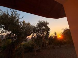 a sunset seen through a window with a tree and benches at Agriturismo Siviglia in Tocci +17 photos