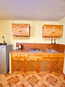 a kitchen with wooden cabinets and a sink and a refrigerator at Accommodation near downtown in San Cristóbal de Las Casas