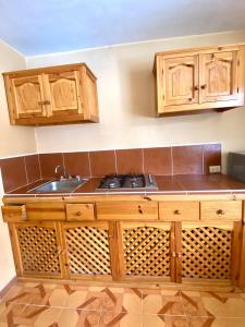 a kitchen with wooden cabinets and a sink at Accommodation near downtown in San Cristóbal de Las Casas