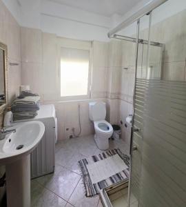 a bathroom with a toilet and a sink and a shower at Casa Kaçi in Mullini i Danit +9 photos