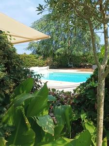 a swimming pool with a tan umbrella and trees at L'Atelier Saint-Sulpice - Cocon, piscine, déconnexion entre Bordeaux et St Emilion in Saint-Sulpice-et-Cameyrac