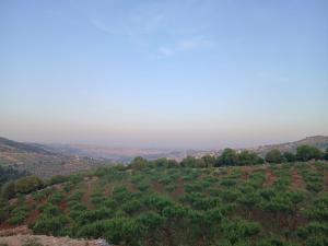 a view of a hill with trees on it at اطلالة سوف in Jerash