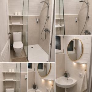a bathroom with a shower and a toilet and a sink at Chechar Inn Zlatar in Nova Varoš