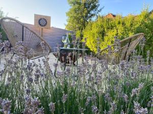 a garden with two chairs and purple flowers at B&B Tierlantijn in Hamont