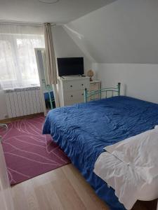 a bedroom with a blue bed and a television at Casa Curcubeu in Ceahlău