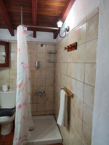 a bathroom with a shower curtain and a toilet at Casita Roque Nublo in Tejeda +13 photos