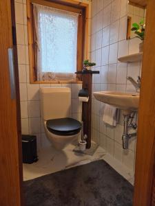 a bathroom with a toilet and a sink at Duplex Salgesch in Salgesch +27 photos