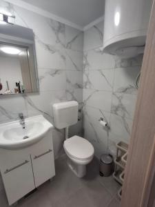 a bathroom with a white toilet and a sink at Villa Ivana in Koper