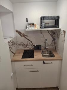 a small kitchen with a sink and a microwave at Villa Ivana in Koper