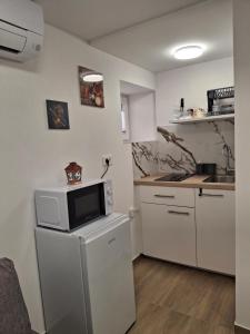 a kitchen with a microwave on top of a refrigerator at Villa Ivana in Koper