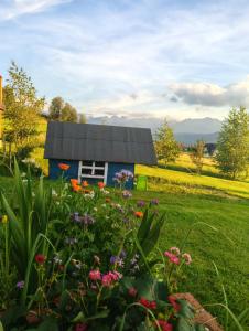 a small house in a field with flowers at Widlakówka in Rzepiska