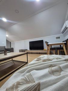 a living room with a bed and a tv at FloVa Apartment in Valjiosi +4 photos