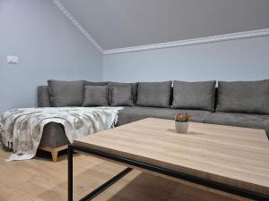 a living room with a couch and a coffee table at FloVa Apartment in Valjiosi