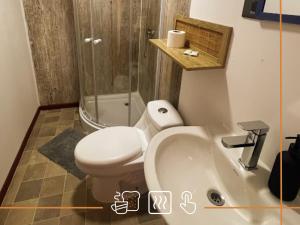 a bathroom with a toilet and a sink at Noth Central in Osorno +22 photos