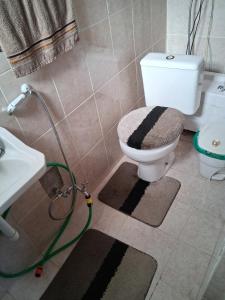 a bathroom with a toilet and a sink at LOFT da Serra Imperial in Petrópolis +29 photos